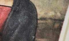 다비안 야나 캐플렛, 14세