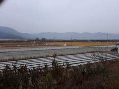 ◎ 다다다 두드려 미래를 채우자