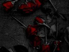 화려함의 댓가는,