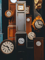 인류를 사랑하다.