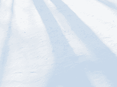 오늘 밤, 세계에서 이 사랑이 사라진다 해도