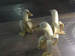 자캐 커뮤 정리