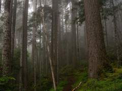 예기치 못한 운명과 그들의 결과 최후의 전쟁까지