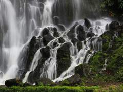 한번쯤은 해보고 싶었어