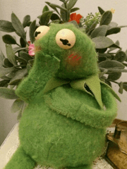 𝚃𝚘 𝚊𝚕𝚕 𝚖𝚢 𝚘𝚗𝚎𝚜