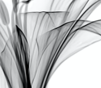 메아가 283 달성!!