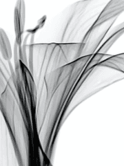 내 메아가 일기...