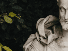 όνομα της αγάπης