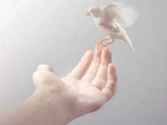 [후루카이] 클라우드 댄서 01