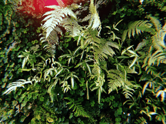 뱀의 귀를 가진 여자 4