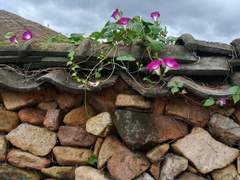 비닐에 담긴 뜨거운 국물 먹어도 될까? 안될까?