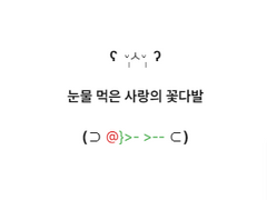 [진성미희] 눈물 먹은 사랑의 꽃다발