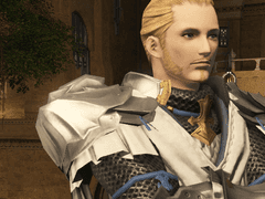 자유기사의 서약