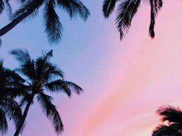 나의별에게 시즌S _ 여름섬 11