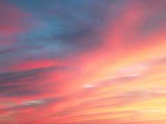 나의별에게 시즌S _ 여름섬 12