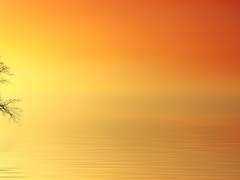 내 친구, 델링에게!