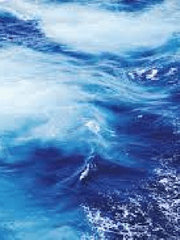 그 바닷가에 파도가 칠 때-