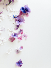 해리에그시 삼키지 못한 꽃잎