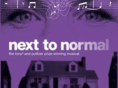 뮤지컬 넥스트 투 노멀의 이해 (2)