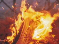 [칼릭스 레오 테오도르/남/전투/공작]