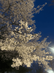 [화산귀환] 월매천녀