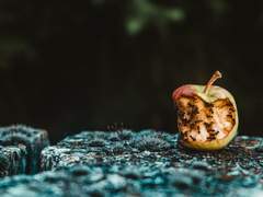 싫다는 건 좀 안 하면 안돼?