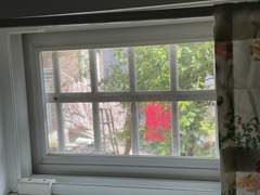 주방 창문 너머로 보이는 울창한 나무 한 그루. 바람에 흔들리는 초록 잎사귀, 마당에 널려있는 붉은 이불, 그리고 사다리