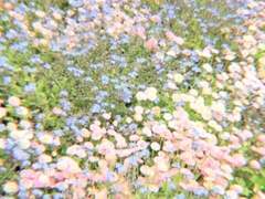 [웨킨]미몽(迷夢).prologue