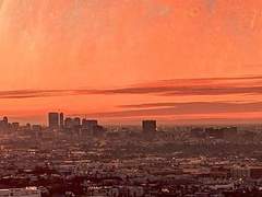 마르티네즈 학형께.