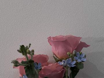 HAPPYENDING, BADENDING