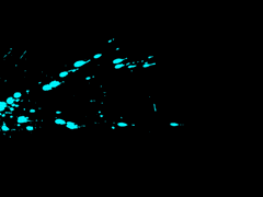 공개 프로필 / 비비안 플리체 / XX / 순수혈통 / 슬리데린