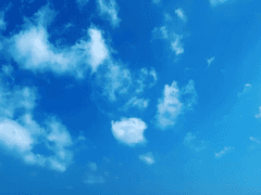 テレキャスタービーボーイ