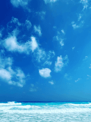 한여름의 맑은 하늘 아래서