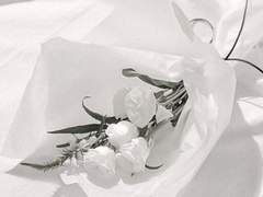 아무 것도 없는 자 같으나