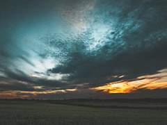 이독우 | 19 | XY | 하피 독수리