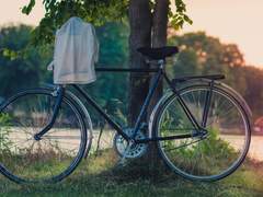 [은예] 벚꽃잎 02