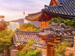 그리움을 뒤로하고💐