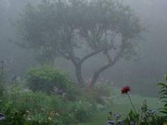 평화...평온...고요 속으로 침잠하는 하루를...