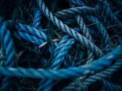 연회기담(緣回奇談)