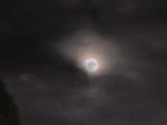 커스텀바 간 이야기