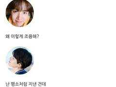 [방탄끼리 카톡하기] 게으른 앨리스 : 13