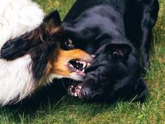 CILF: Captain I’d Like to Fuck 14