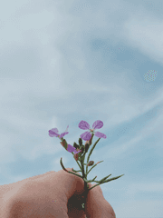 '호그와트 에타 훔쳐보기' 서로이웃편 모음