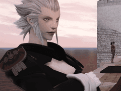 리바이어선 토벌 작전