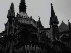 [원피스/장편/드림] 우연한 운명 - 完