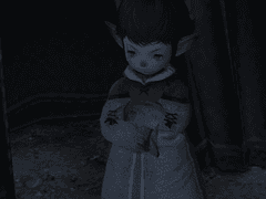 난민 폭동을 쫓아서