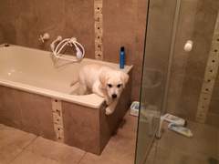 멍구와의 재회 (2014년 9월 13, 14일)