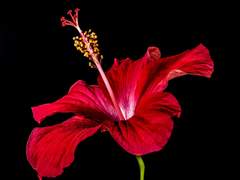 당신과 함께한다면