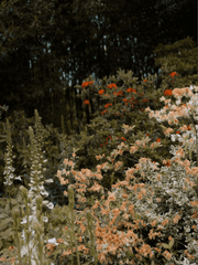 𝐖𝐨𝐫𝐤 𝐛𝐚𝐜𝐤𝐮𝐩