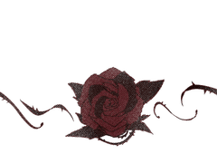 메타포이즈ㅣ17